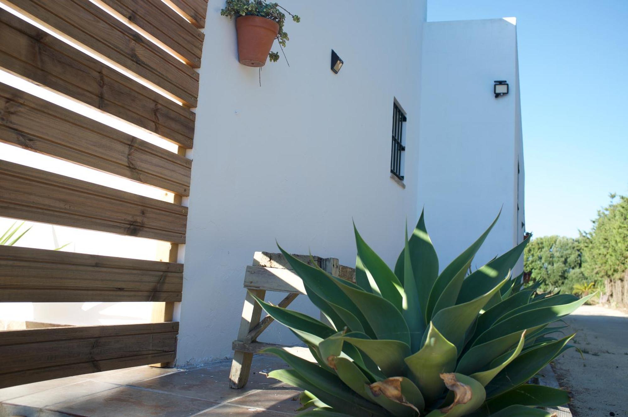 Gasthaus Ilusiones Del Mar El Palmar de Vejer Zimmer foto